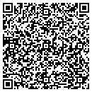 QR code with Babz S Pet Sitting contacts