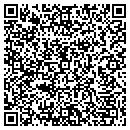 QR code with Pyramid Players contacts