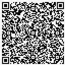 QR code with Precise Title Service contacts