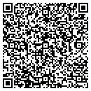 QR code with Cgi Group Organization Inc contacts