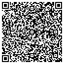 QR code with Cytaine Inc contacts