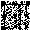 QR code with New Lyfe contacts