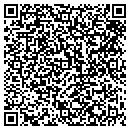 QR code with C & T Mini Mart contacts