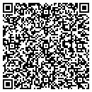 QR code with Cyber Data Systems Inc contacts