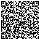QR code with Caribbean Connection contacts