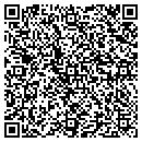 QR code with Carrols Corporation contacts