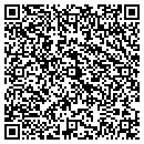 QR code with Cyber Defense contacts