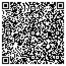QR code with Cobra Computers LLC contacts