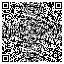 QR code with Pv Chocolates Co contacts