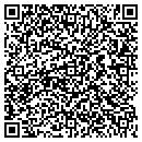 QR code with Cyrusone Inc contacts