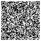QR code with Professional Gutters Inc contacts