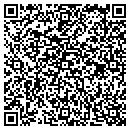 QR code with Courier Express Inc contacts