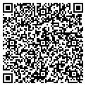 QR code with Allium contacts