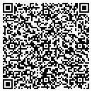 QR code with Central Carriers Inc contacts
