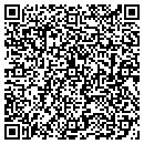 QR code with Pso Properties LLC contacts
