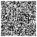 QR code with Carter Construction contacts