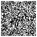 QR code with Boulevard Properties contacts