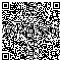 QR code with Curves contacts