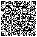 QR code with Curves contacts