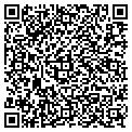 QR code with Curves contacts