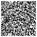 QR code with Premiere Radio contacts