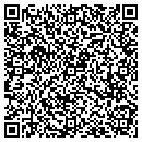 QR code with Ce Amayzing Creations contacts