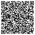 QR code with Curves contacts