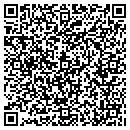 QR code with Cyclone Property LLC contacts