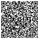 QR code with Puppy Palace contacts