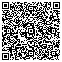 QR code with Curves contacts