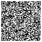 QR code with Babich Properties Bill contacts