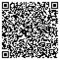 QR code with Curves contacts