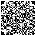 QR code with Curves contacts