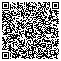 QR code with Curves contacts