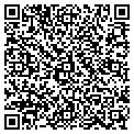 QR code with Curves contacts