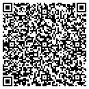 QR code with Project Iris contacts