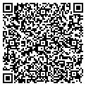 QR code with Curves contacts
