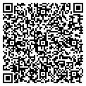 QR code with Curves contacts