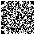 QR code with Curves contacts