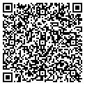 QR code with Curves contacts