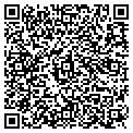 QR code with Curves contacts