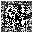 QR code with Brian's Tree Service contacts