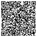 QR code with Curves contacts
