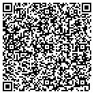 QR code with Public Safety Department contacts