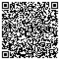 QR code with Curves contacts