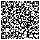 QR code with Chemical Connection contacts
