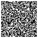 QR code with Chattem Chemicals contacts