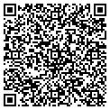 QR code with Curves contacts