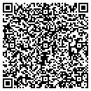 QR code with Curves contacts