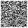 QR code with Curves contacts